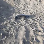 Blekkerke Koksijde