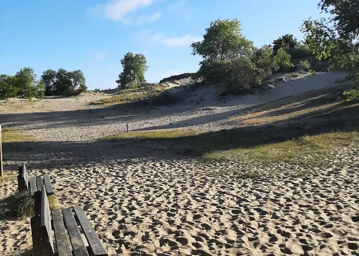 Blekkerke * كوكسيجدي